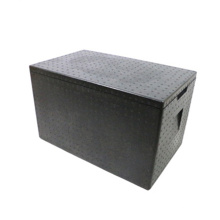 Portable Thermal Insulation EPP Foam Cooler Box